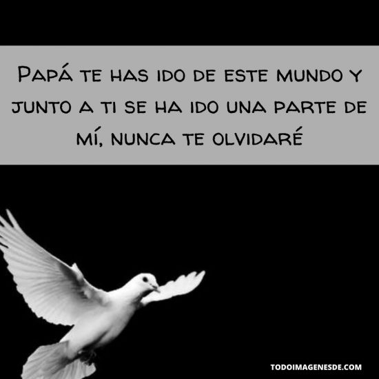 50 Dedicatorias y Frases para recordar a un Padre fallecido Todo imágenes