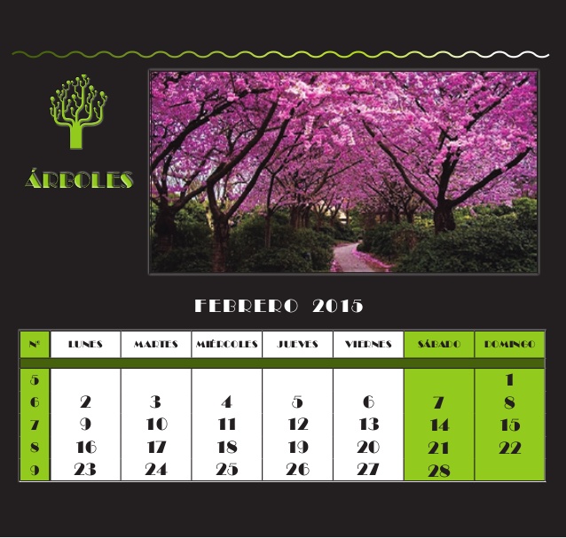 calendario-2015-rboles-3-638