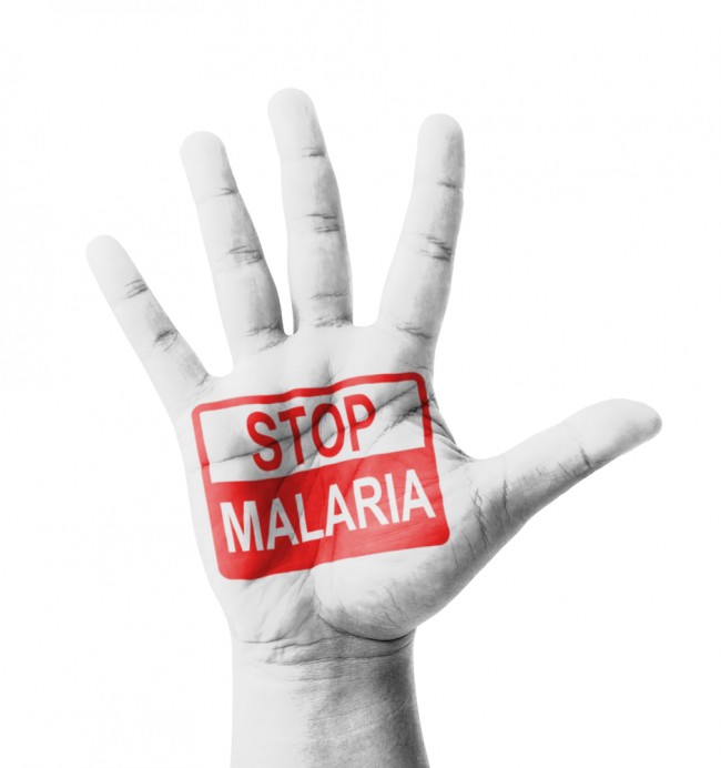 Malaria-2