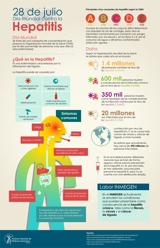 infografia_hepatitis_1