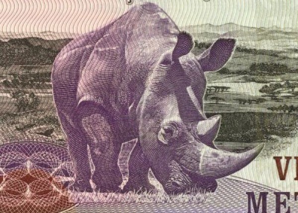04c-7008438-rhinoceros-on-20-meticais-2006-banknote-from-mozambique