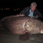 Bestias de Agua Dulce, peces gigantes