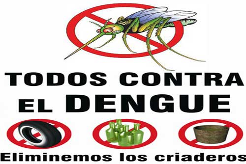 dengue.jpeg13