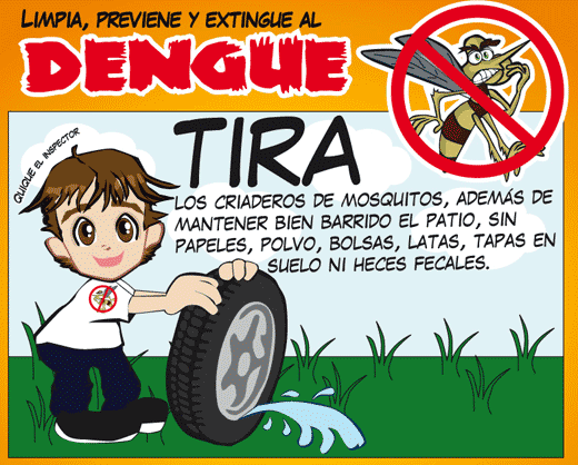 dengue.jpeg3