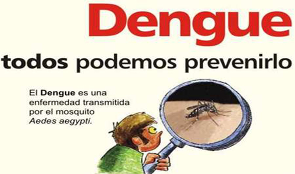 dengue30