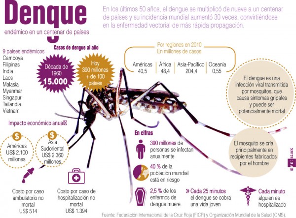dengueinfo - copia