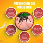 Lo que debemos saber del Virus Zika – Infografías