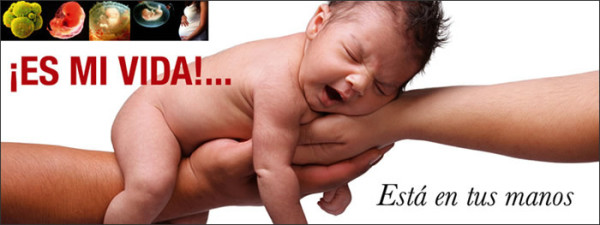 Día del Niño por Nacer: "Decile Sí a la Vida" - Imágenes ...