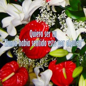 Imágenes hermosas con flores y dedicatorias de amor para compartir en ...