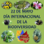 Día Internacional de la Biodiversidad o Diversidad Biológica – Imágenes para compartir