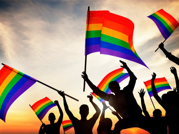 Group of People Holding Rainbow Flags