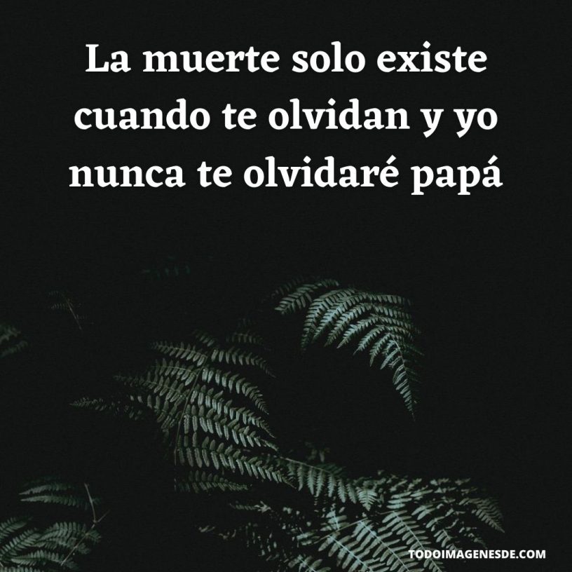 50 Dedicatorias Y Frases Para Recordar A Un Padre Fallecido – Todo Imágenes