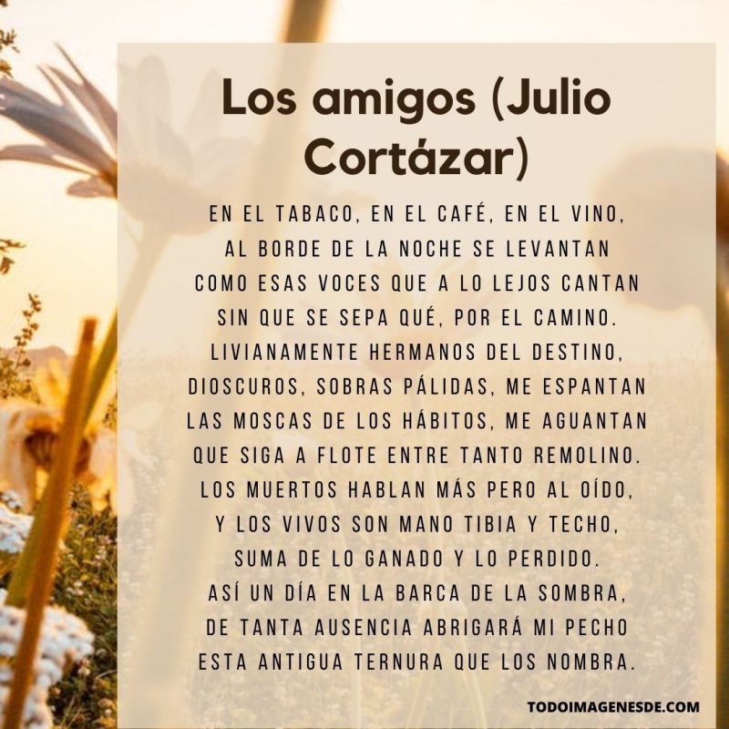 60 Poemas De Amistad Cortos Con Autor Todo Imágenes 0717