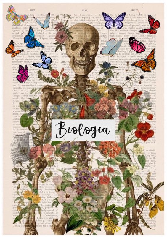 Portadas de biología: fáciles, ideas bonitas, carátulas, imágenes, dibujos  - Todo imágenes